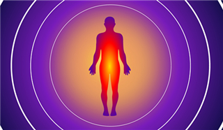 科学家证实：体温高能提升免疫力